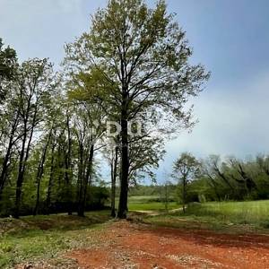 ISTRA, BARBAN - Zemljište s građevinskom dozvolom