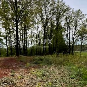 ISTRA, BARBAN - Zemljište s građevinskom dozvolom