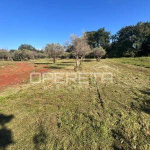 Istra, Brtonigla okolica – imanje s više jedinica, gospodarskom zgradom i veliki