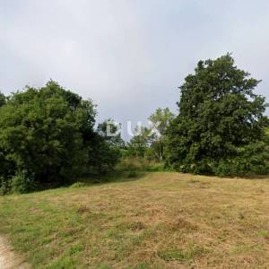 ISTRA, LIŽNJAN - Građevinsko zemljište u pitomom susjedstvu