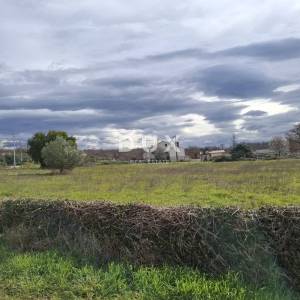 ISTRA, LOVREČ - Građevinsko zemljište
