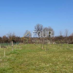 Istra, Marčana, građevinsko zemljište, 2.596m2