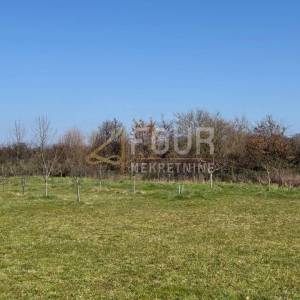 Istra, Marčana, građevinsko zemljište, 546m2