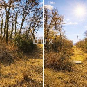 ISTRA, MARČANA – Zanimljivo poljoprivredno zemljište