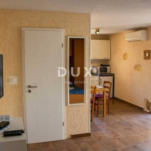ISTRA, MEDULIN - Kamena istarska kuća + Kuća za odmor na odličnoj poziciji