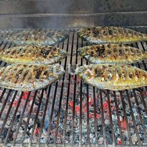 ISTRA, MEDULIN - Kamena istarska kuća + Kuća za odmor na odličnoj poziciji