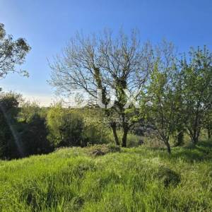 ISTRA, MOMJAN – Elegantne kamene kuće s impresivnim pogledom