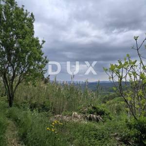 ISTRA, MOTOVUN - Kamena kuća s pogledom za adaptaciju