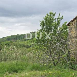 ISTRA, MOTOVUN - Kamena kuća s pogledom za adaptaciju