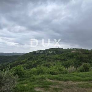 ISTRA, MOTOVUN - Kamena kuća s pogledom za adaptaciju