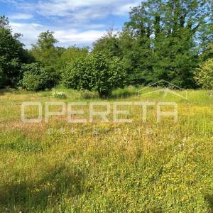 Istra, Poreč-Investicijsko zemljište za 8 stambenih zgrada – izvrsna lokacija