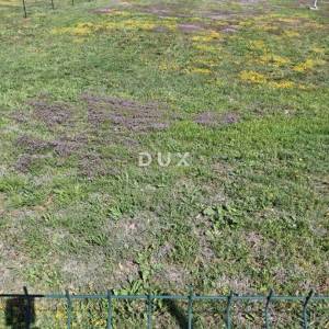 ISTRA, ROVINJ - poljoprivredno zemljište 2285m2