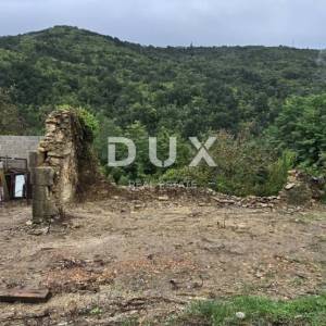 ISTRA, SOVINJAK - RUŠEVINA + ZEMLJIŠTE 57.356 m2