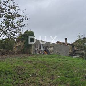 ISTRA, SOVINJAK - RUŠEVINA + ZEMLJIŠTE 57.356 m2