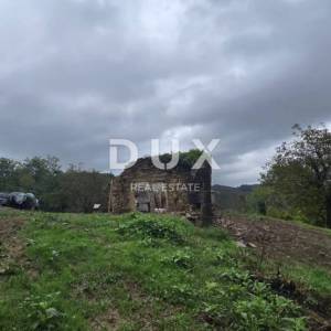 ISTRA, SOVINJAK - RUŠEVINA + ZEMLJIŠTE 57.356 m2