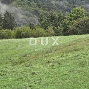 ISTRA, SOVINJAK - RUŠEVINA + ZEMLJIŠTE 57.356 m2