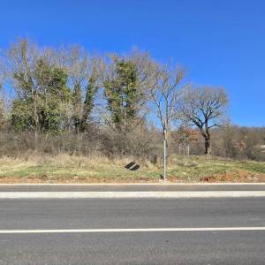 ISTRA, SVETA KATARINA, PIĆAN- građevinsko zemljište 1855m2 za obiteljsku kuću / kuću za iznajmljivanje sa bazenom 