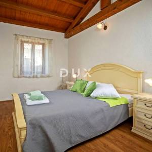 ISTRA, TINJAN - Kamena autohtona vila