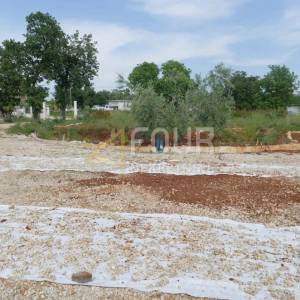 Istra, Umag, 3.076m2 - zemljište