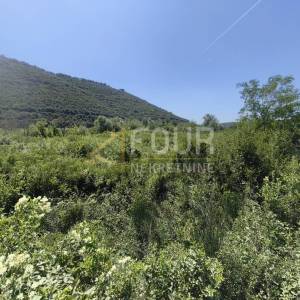 Istra, Valtura, poljoprivredno zemljište 14500m2