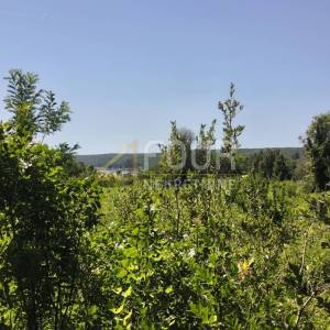 Istra, Valtura, poljoprivredno zemljište 14500m2