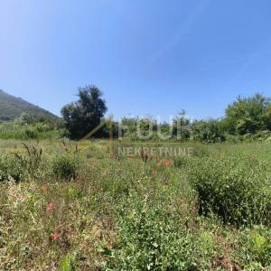 Istra, Valtura, poljoprivredno zemljište 14500m2