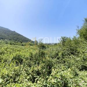 Istra, Valtura, poljoprivredno zemljište 14500m2