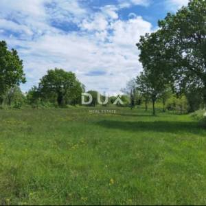 ISTRA, VIŠNJAN - Vrhunska investicijska prilika