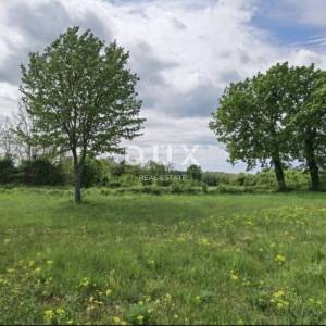 ISTRA, VIŠNJAN - Vrhunska investicijska prilika
