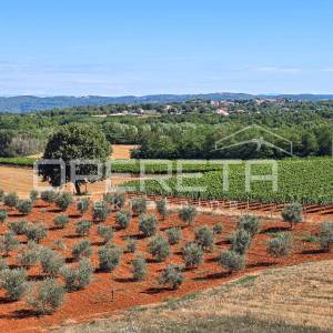 ISTRA, VIŽINADA - Moderna vila s bazenom, panoramskim pogledom i luksuznim inter