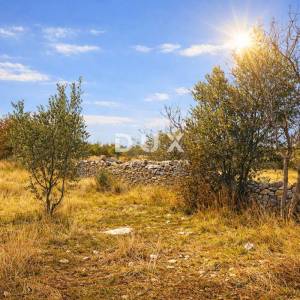 ISTRA, VODNJAN – Poljoprivredno zemljište