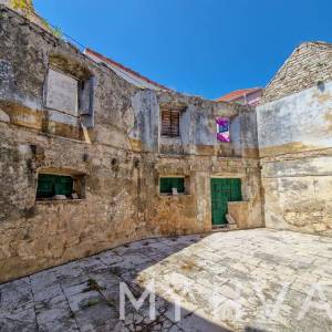 Kapari u Jelsi