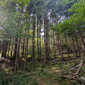 Klana, 1.908m2, poljoprivredno zemljište