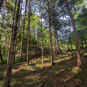Klana, 1.908m2, poljoprivredno zemljište