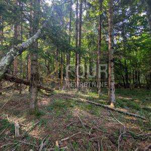 Klana, 1.908m2, poljoprivredno zemljište