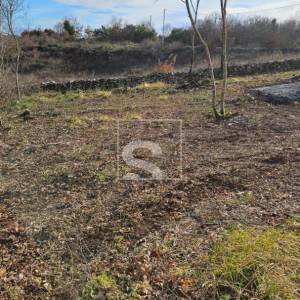 Kombinacija građ-polj. zemljišta 3.445 m², Šajini