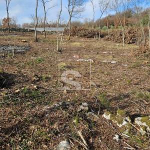 Kombinacija građ-polj. zemljišta 3.445 m², Šajini