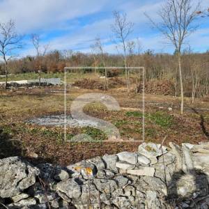 Kombinacija građ-polj. zemljišta 3.445 m², Šajini