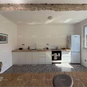 Labin – Kuća s 3 apartmana, 220 m², okućnica 700 m², odlična investicija