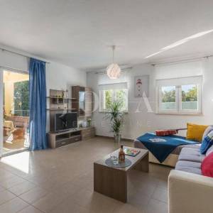 Labin, okolica, prekrasna Villa sa bazenom i velikom okućnicom
