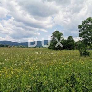 LIKA, OGULIN, PLAŠKI- građevinsko i poljoprivredno zemljište 33654 m2, SNIŽENA CIJENA! TOP PRILIKA!