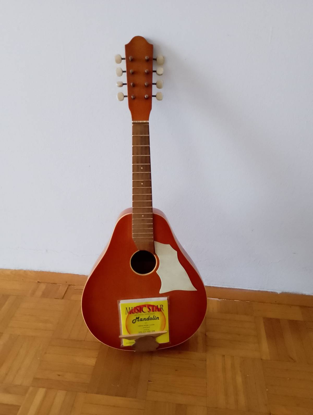 Mandolina