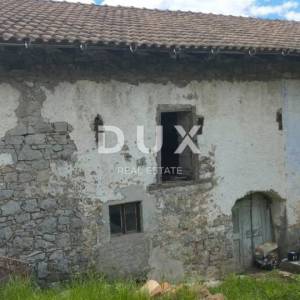 MATULJI, ŠAPJANE - Starina s velikim potencijalom