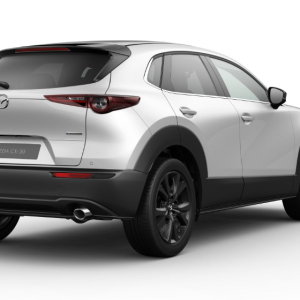 Mazda CX-30 5WGN 2.5L e-SKYACTIV G 140ps 6AT FWD Homura