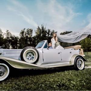 Najam oldtimera i luxuznih limuzina