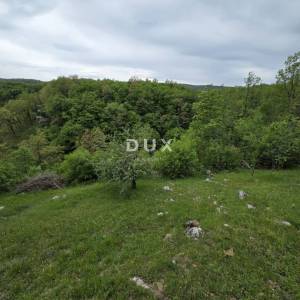OGULIN, TOUNJ - samostojeća kuća s 2 pomoćna objekta odmah do rijeke + okućnica 5000m2