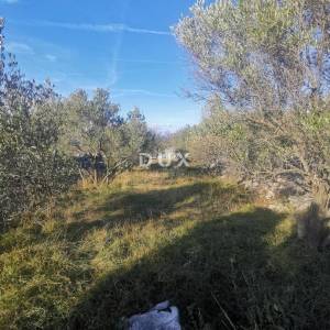 OTOK KRK, PUNAT - Poljoprivredno zemljište