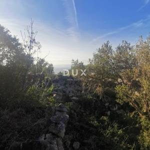 OTOK KRK, PUNAT - Poljoprivredno zemljište
