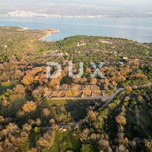 Otok Krk, Šilo -  Očišćen, ravan MASLINIK, buduće građevinsko, 600m do prekrasnih plaža, mora i supermarketa s pristupnim putem...
