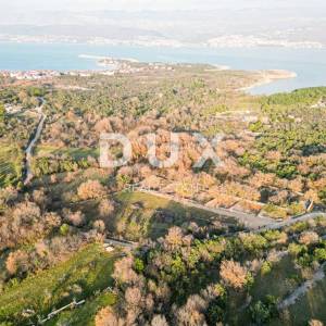 Otok Krk, Šilo -  Očišćen, ravan MASLINIK, buduće građevinsko, 600m do prekrasnih plaža, mora i supermarketa s pristupnim putem...